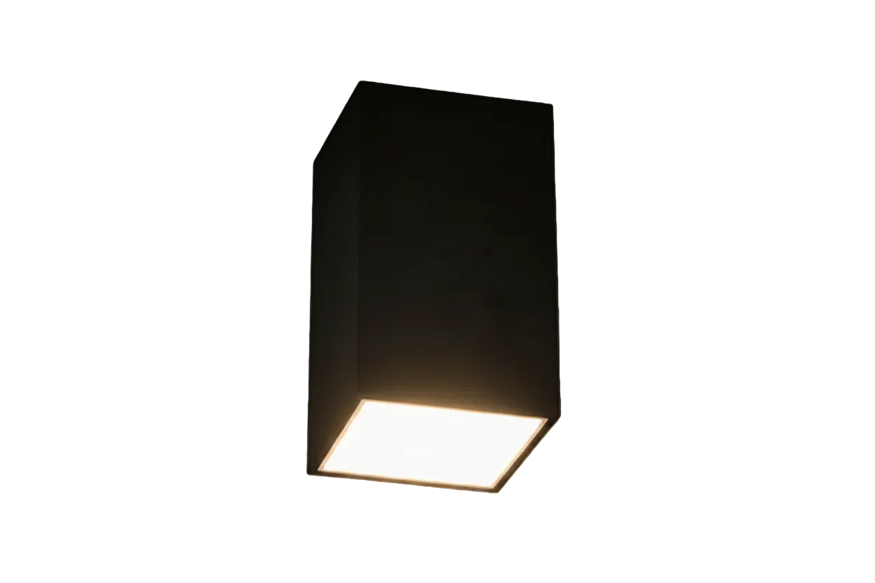 Black 3000K